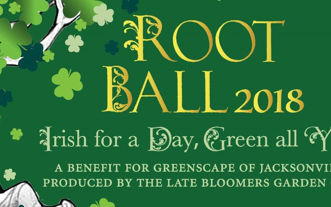 Root Ball 2018: Irish for a Day, Green all Year