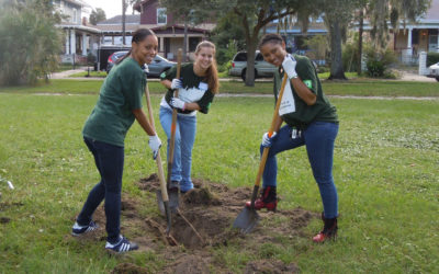 JEA Tree Program With Greenscape and JEA Arborist