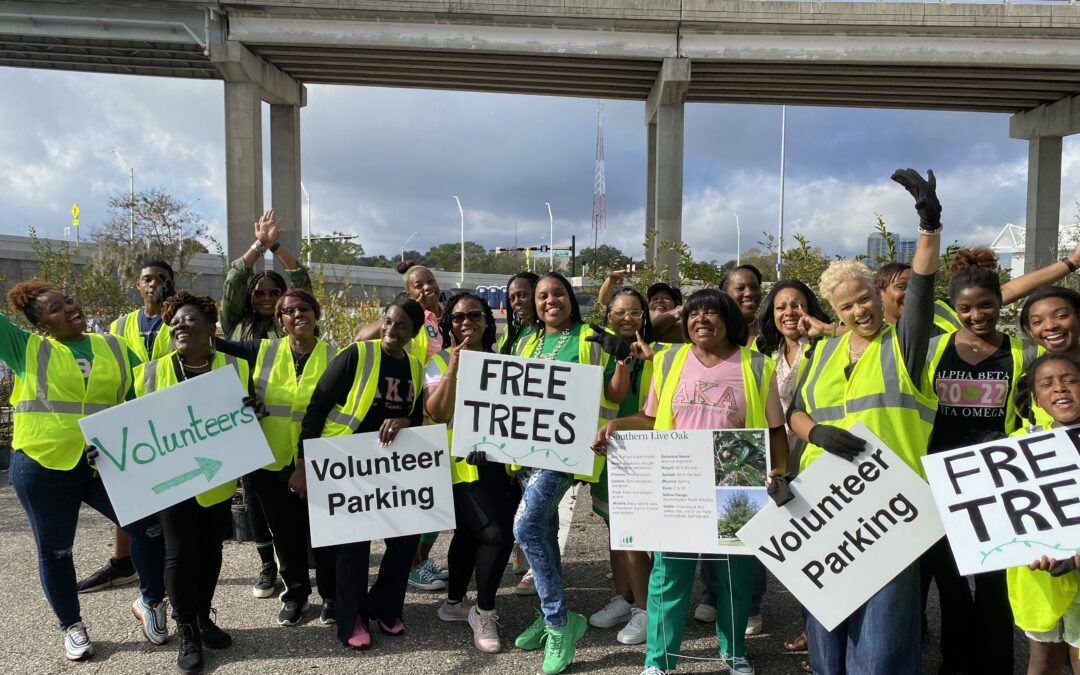 First Coast News: Great Tree Giveaway