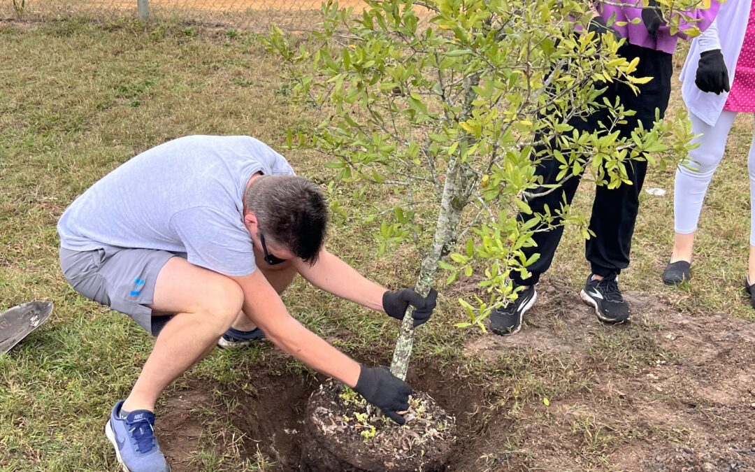 Community Tree Planting