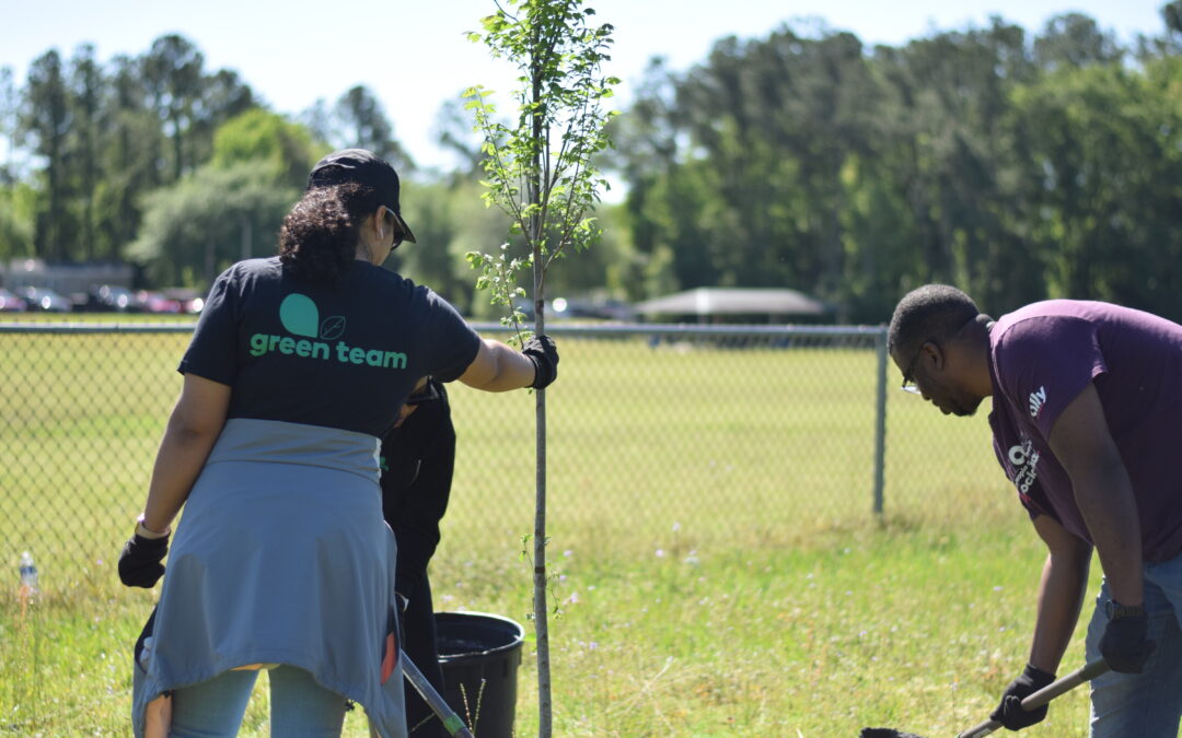 Community Tree Planting